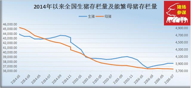 山东今日猪价行情走势深度解析