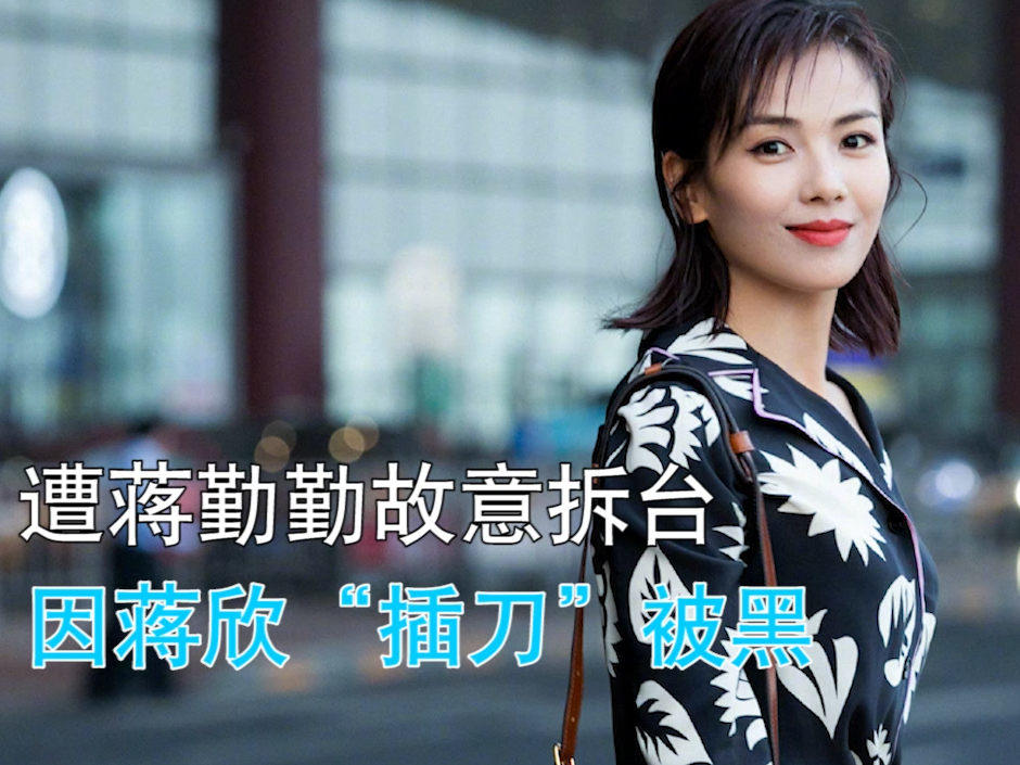 蒋姓明星探秘，娱乐圈中的闪耀之星