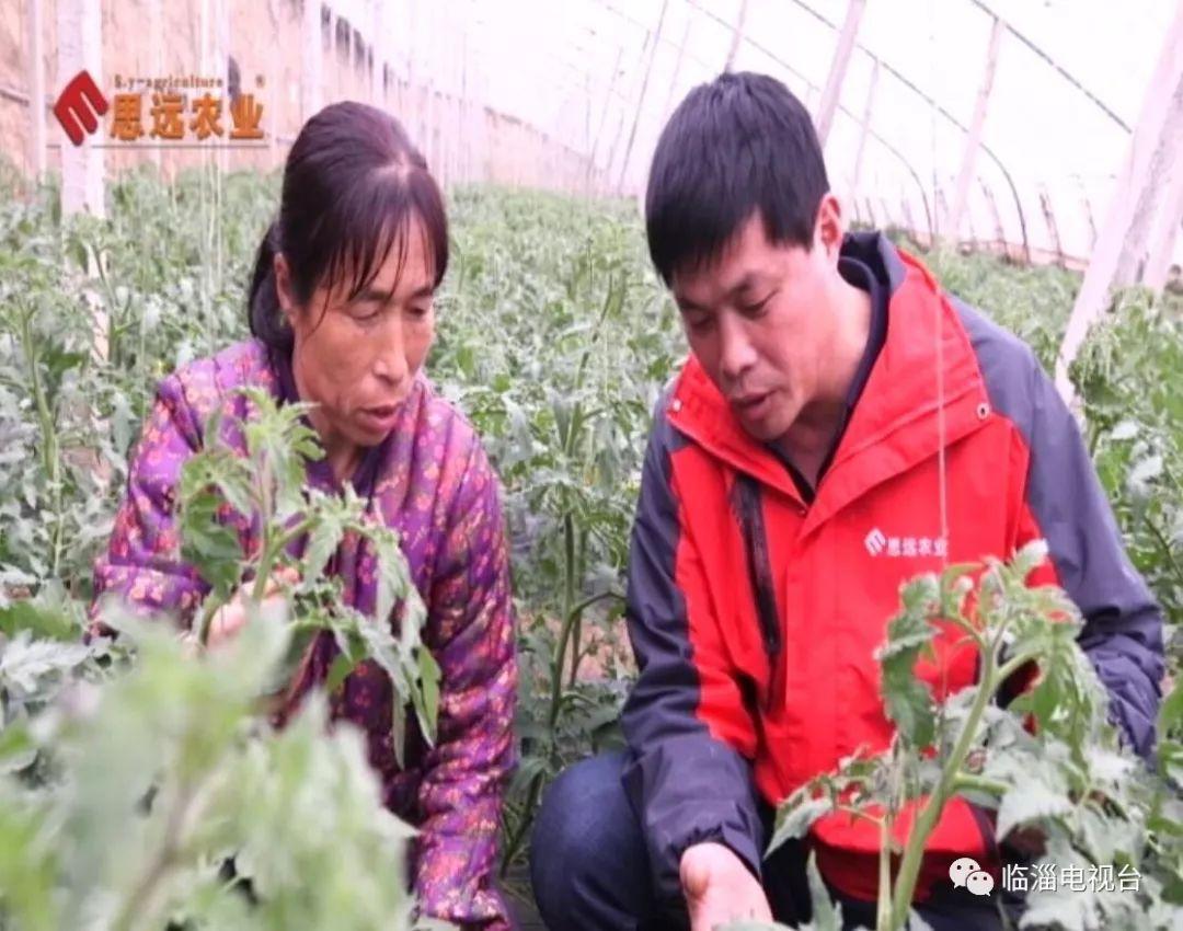 齐翔腾达股票千股千评，时代印记与行业翘楚的解读分析