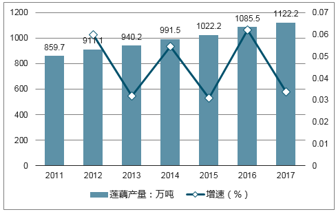 探秘莲藕秘境，展望2025年莲藕行情展望