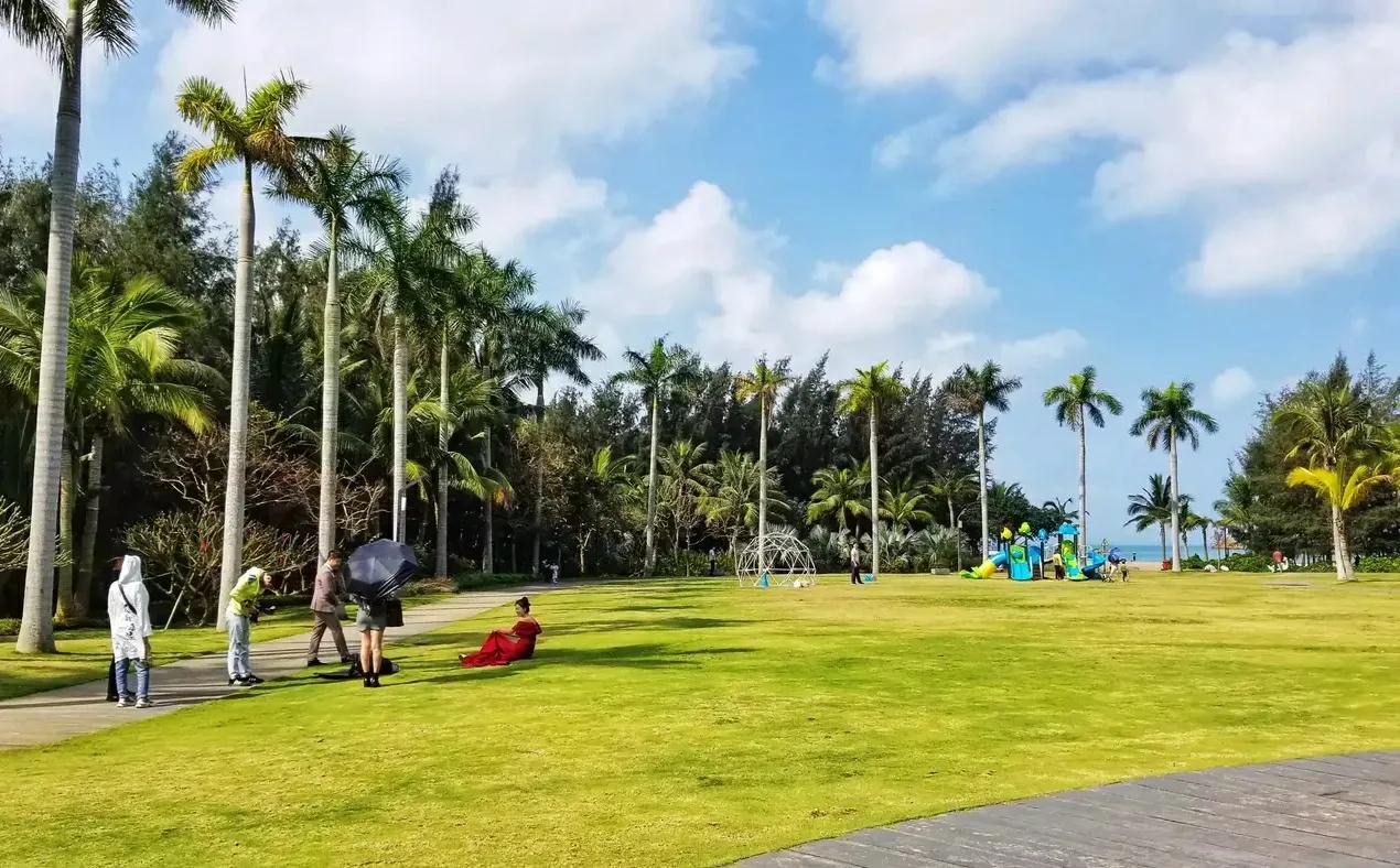 海南老城规划更新重磅来袭，重塑城市蓝图，引领未来发展