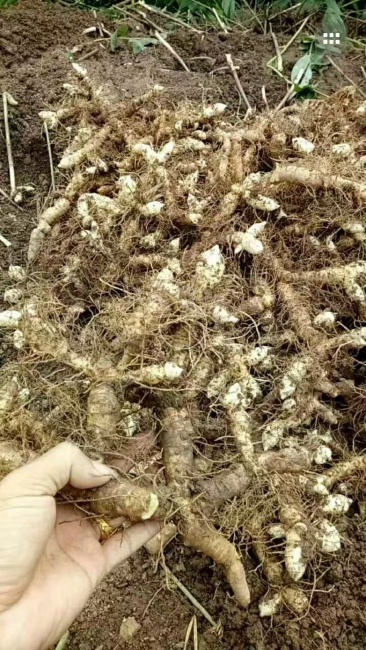 汽车销售 第48页