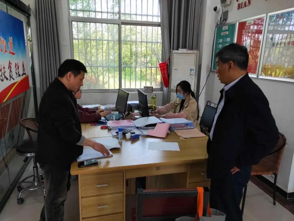 阜南鹿城府最新动态火热更新
