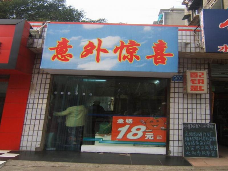 探索未知，喜悦与惊喜多样性的意外发现