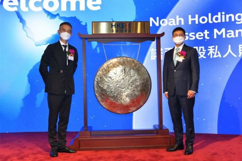两地上市策略，企业双重上市之路探析