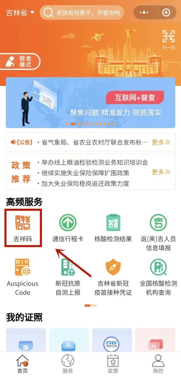 最新吉祥码，传统吉祥象征与现代科技的完美融合