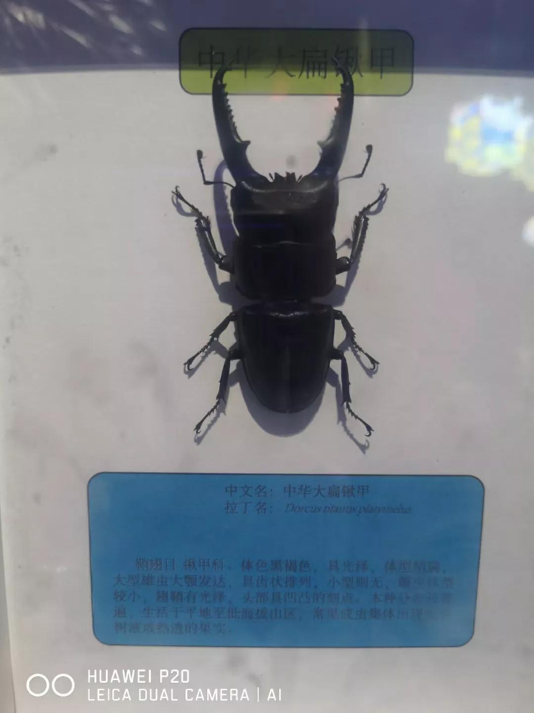 友情之彩的温馨日常，最新趣彩记录分享