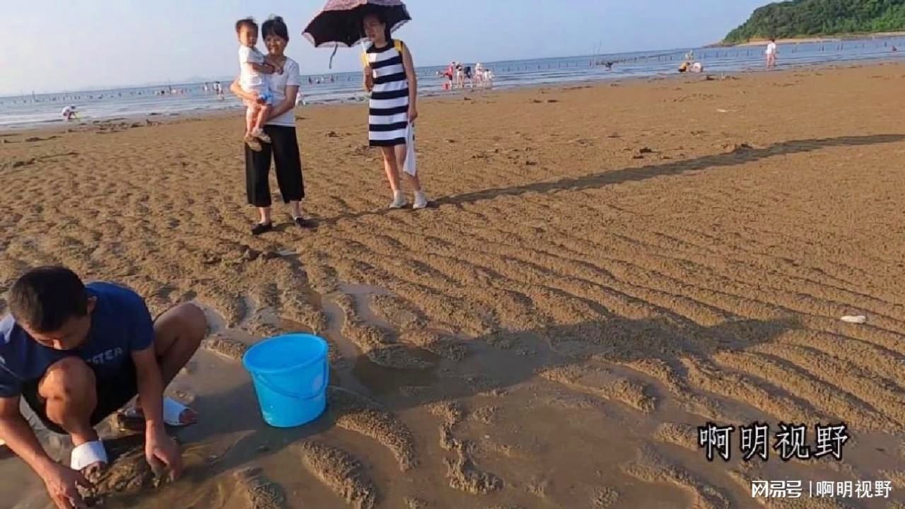 小明赶海最新动态与赶海入门指南