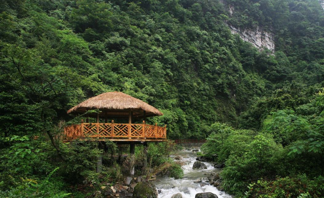 探秘重庆自然宝藏——最新金佛山之旅