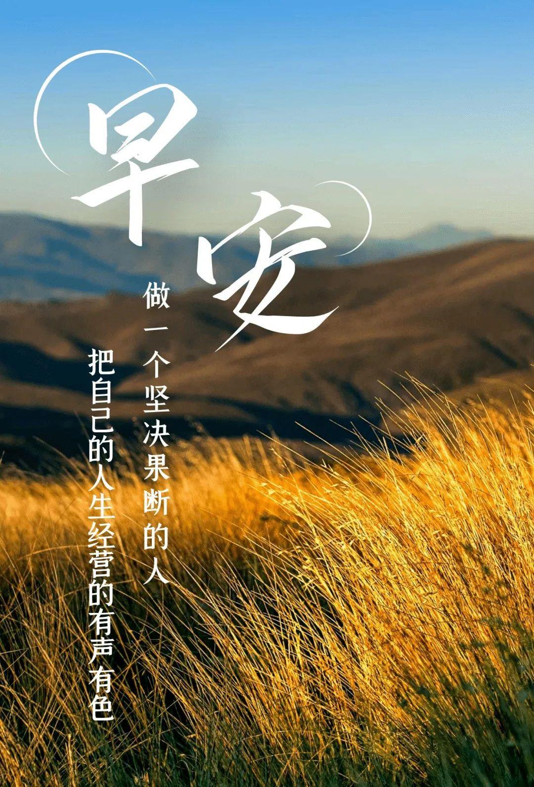 心语最新，情感交流新时代的独特见解